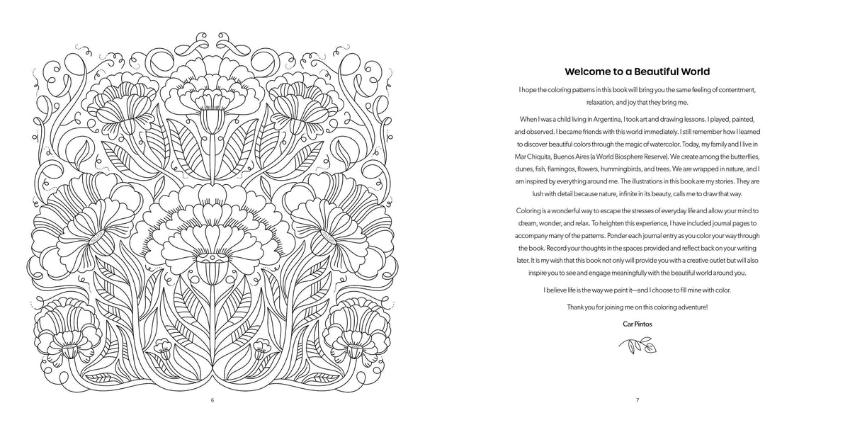 Schiffer - Beautiful World Coloring Book