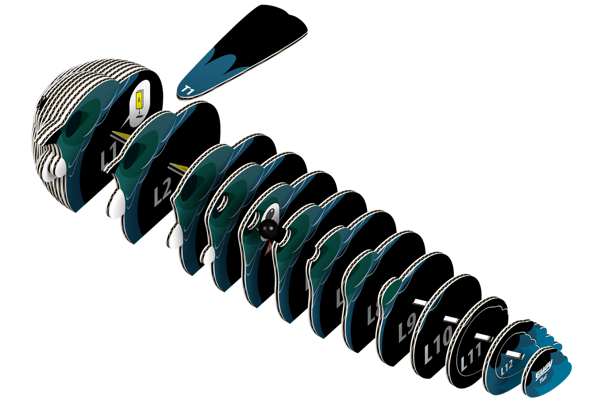 EUGY Tui 3D Puzzle