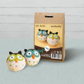 Owl Needle Felting Kit