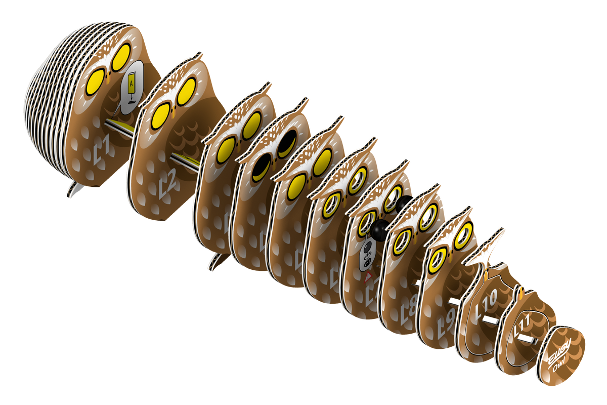EUGY Owl 3D Puzzle